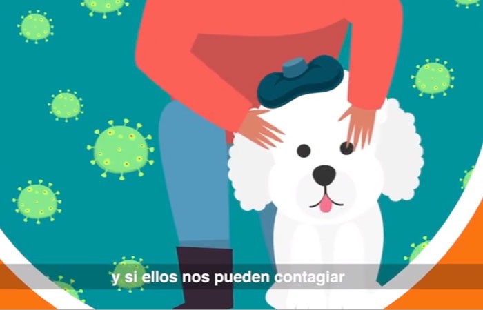 Animales de compañía